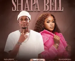 Naleboy Young King ft Shandesh & King WaveMusiq – Shapa Bell Naleboy Young King – Shapa Bell ft Shandesh & King WaveMusiq