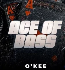 O’Kee – ACE OF BASS O’Kee – Wake Me Up
