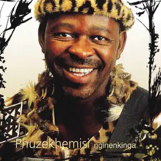Phuzekhemisi – Nginenkinga Phuzekhemisi – Nginenkinga