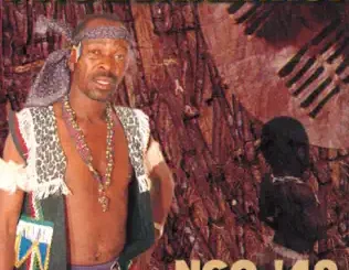 Phuzekhemisi – Ngo '49