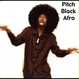 Pitch Black Afro – Matofotofo Pitch Black Afro – Matofotofo