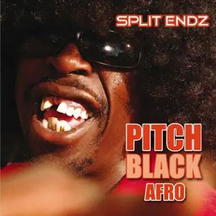 Pitch Black Afro – Split Endz Pitch Black Afro – Split Endz