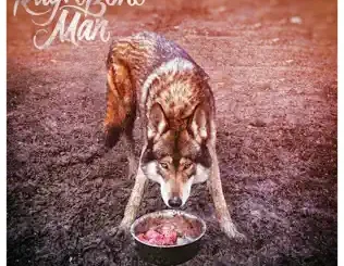 Rag'n'Bone Man – Wolves