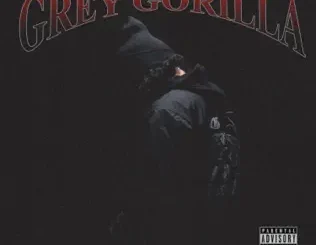 Ramirez – Grey Gorilla