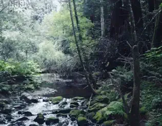 Ramirez – Meet Me Where the River Turns Grey