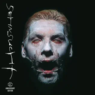 Rammstein – Sehnsucht (Anniversary Edition) Rammstein – Sehnsucht (Anniversary Edition)