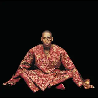 Raphael Saadiq – Instant Vintage Raphael Saadiq – Instant Vintage