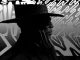 Raphael Saadiq – Jimmy Lee