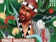 Ringo Madlingozi – MNT’OMNYAMA