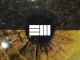 Russ – Straight from Limbo