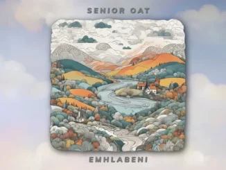 Senior Oat – Timeless