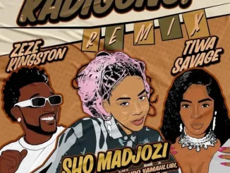 Sho Madjozi ft Tiwa Savage, Zeze Kingston, Gemini Major, Ntando Yamahlubi, Exclusive Drumz & Tee Jay – Kadigong (Remix) Sho Madjozi – Kadigong (Remix) ft Tiwa Savage, Zeze Kingston, Gemini Major, Ntando Yamahlubi, Exclusive Drumz & Tee Jay