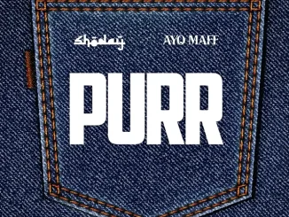 Shoday ft Ayo Maff – PURR Shoday – PURR ft Ayo Maff