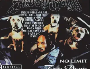 ALBUM: Snoop Dogg – No Limit Top Dogg Snoop Dogg – No Limit Top Dogg