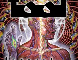 ALBUM: TOOL – Lateralus TOOL – Lateralus