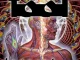 TOOL – Lateralus