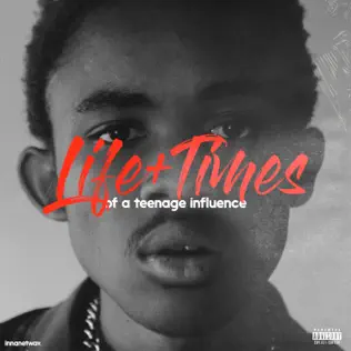 The Big Hash – Life + Times of a Teenage Influence The Big Hash – Life + Times of a Teenage Influence