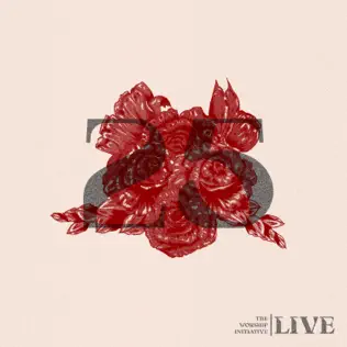 The Worship Initiative & Shane & Shane – The Worship Initiative, Vol. 25 The Worship Initiative & Shane & Shane – The Worship Initiative, Vol. 25