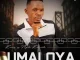 UMALOYA – Amacilongo