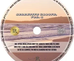 VA – Selektive Groove, Vol. 2
