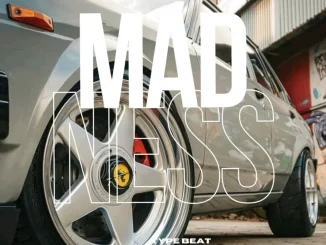 Vigro Deep – MADNESS ft Mr JazziQ, Scott Maphuma, Dj Maphorisa & XDuppy