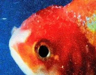 Vince Staples – Big Fish Theory