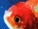 Vince Staples – Big Fish Theory