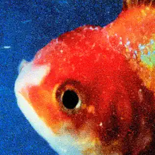 Vince Staples – Big Fish Theory Vince Staples – Big Fish Theory