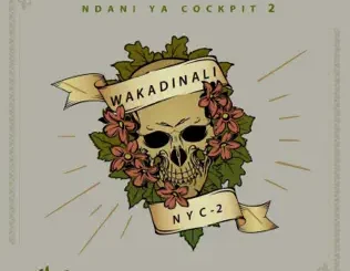 ALBUM: Wakadinali – Ndani Ya Cockpit 2 Wakadinali – Ndani Ya Cockpit 2