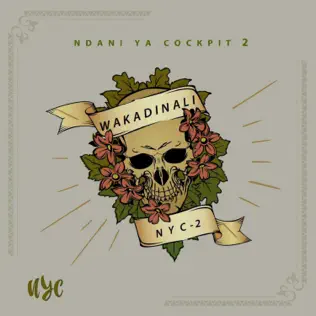Wakadinali – Ndani Ya Cockpit 2 Wakadinali – Ndani Ya Cockpit 2