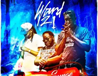 Ward 21 – Power Surge