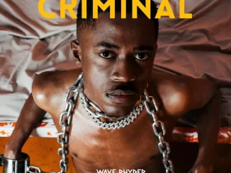 Wave Rhyder – Criminal Wave Rhyder – Criminal