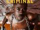 Wave Rhyder – Criminal