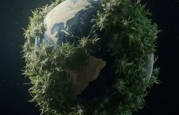Wiz Khalifa Kush + Orange Juice 2 Wiz Khalifa Kush + Orange Juice 2