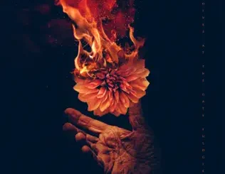 ALBUM: Wolves At the Gate – Eulogies Wolves At the Gate – Eulogies