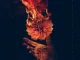 Wolves At the Gate – Eulogies