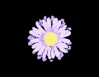 gnash – Me