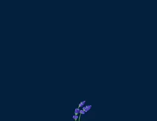 ALBUM: gnash – us gnash – us