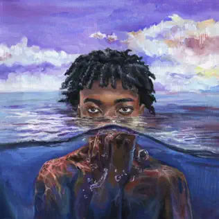redveil – learn 2 swim redveil – learn 2 swim
