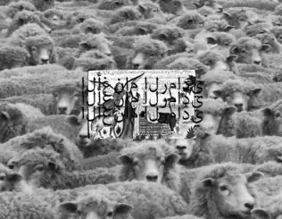 ALBUM: $uicideboy$ – Grey Sheep II $uicideboy$ – Grey Sheep II