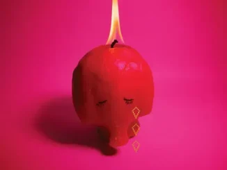 Arcade Fire Pink Elephant