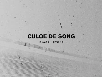 BLACK Culoe De Song