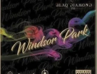 Blaq diamond – Jungle Blaq diamond – Jungle
