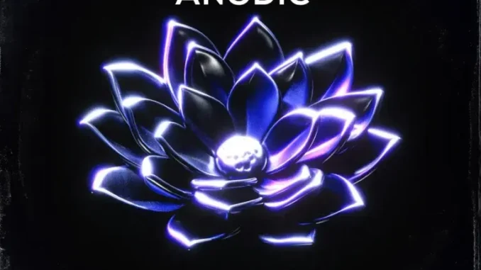 Cebow M – Anodic Cebow M – Anodic