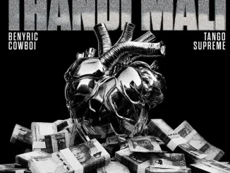 Cyfred ft Sayfar, Scotts Maphuma, BenyRic, CowBoii & Tango Supreme – Thandi Mali Cyfred – Thandi Mali ft Sayfar, Scotts Maphuma, BenyRic, CowBoii & Tango Supreme