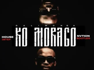Daliwonga – Ko Morago(House Nvtion’s 3 step bootleg) Daliwonga – Ko Morago(House Nvtion’s 3 step bootleg)