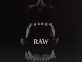 Destys - RAW Destys RAW