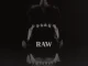 Destys RAW