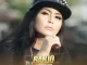 Dian Anic Barjo