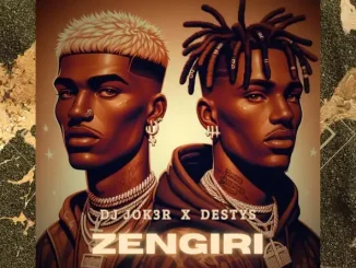 Dj Jok3r & Destys - Zengiri Dj Jok3r & Destys Zengiri